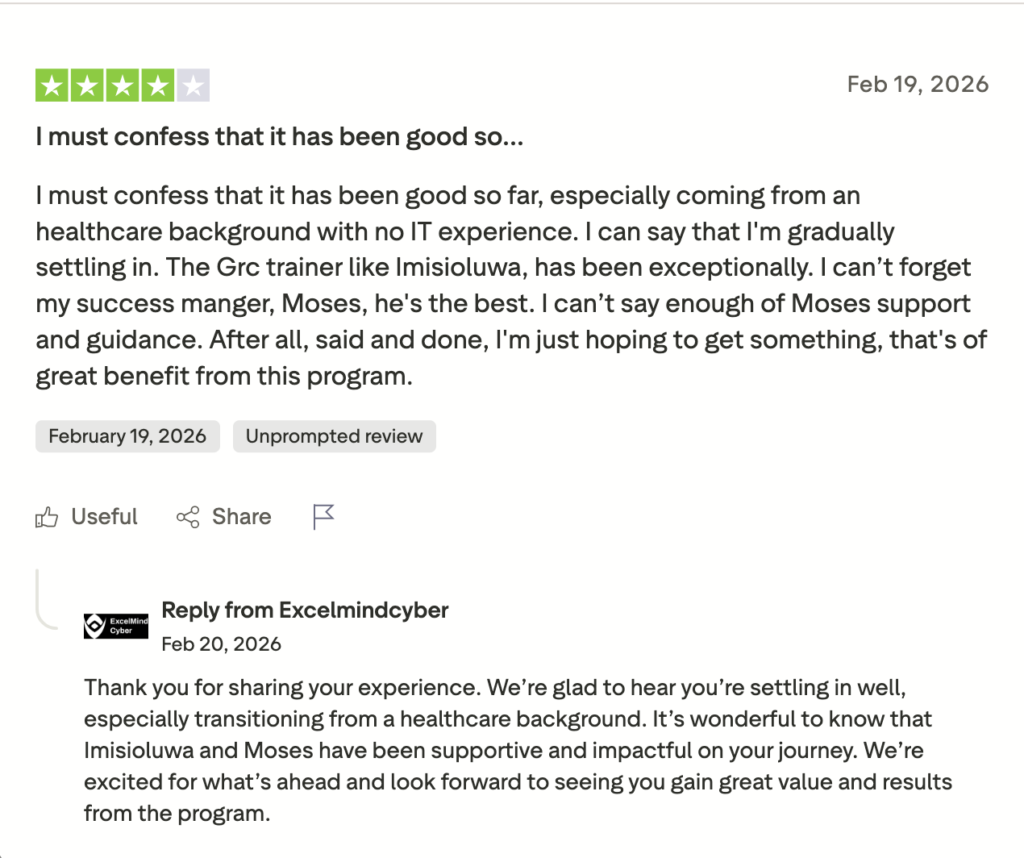 The ExcelMindCyber Review