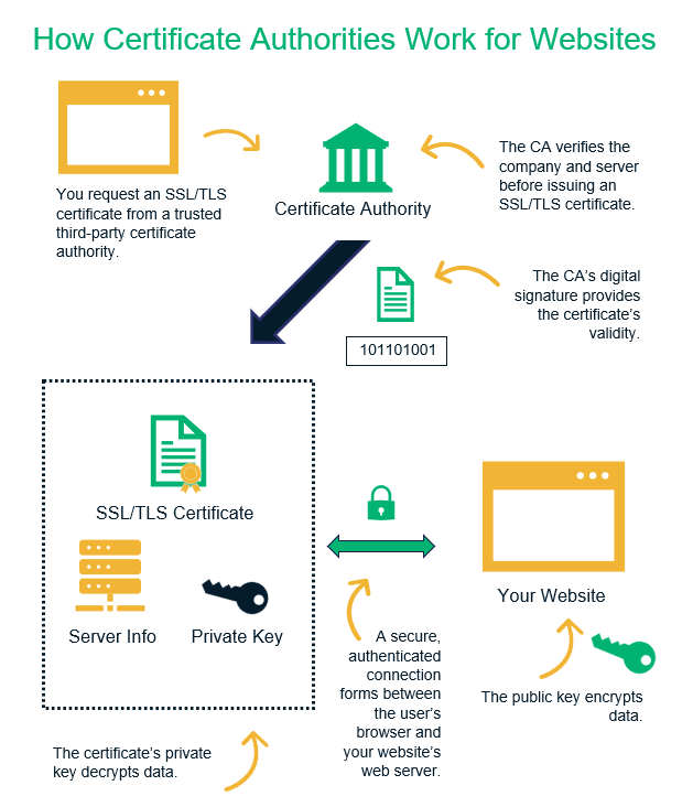 How Certificate Authorities Work Websites 2026